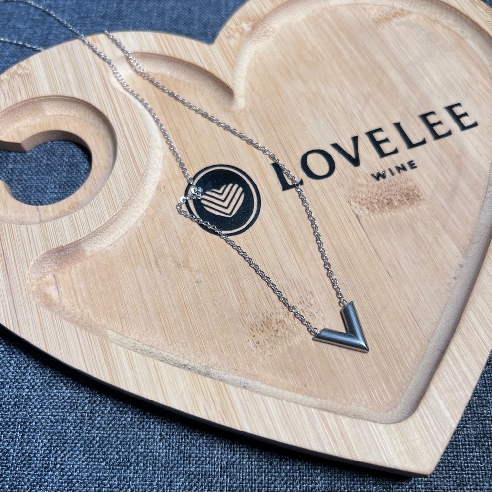 Stainless Steel Silver “V” Necklace